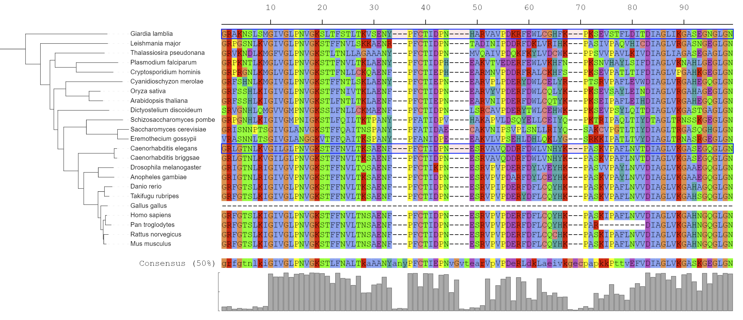 An example multiple sequence alignment visualized on a tree