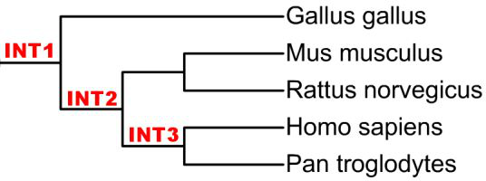 Defining internal nodes by using the last common ancestor method