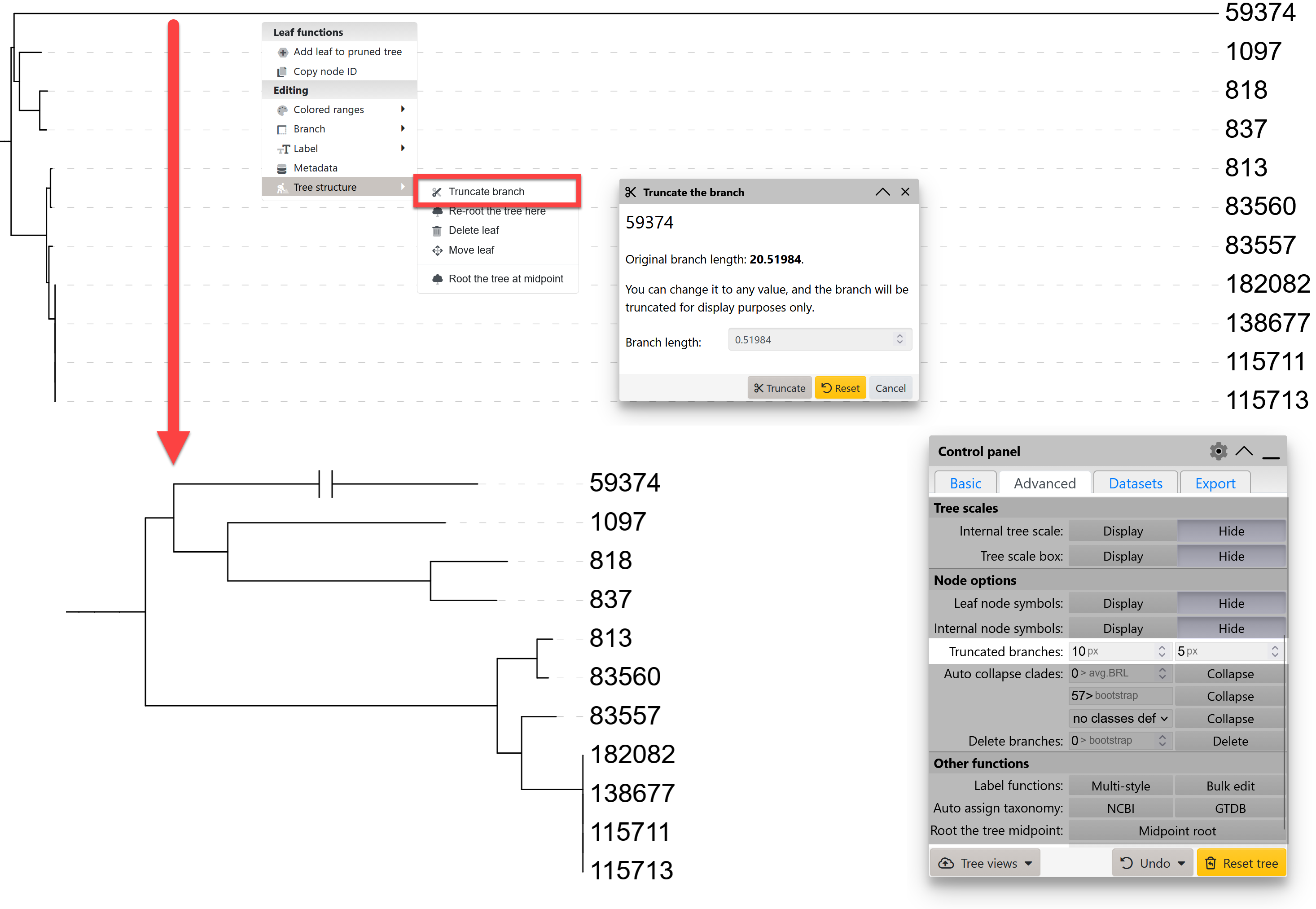 Truncating a long branch