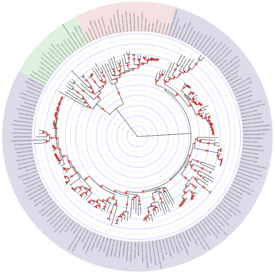 Statistical Data Visualization: Introduction to Networks and Trees