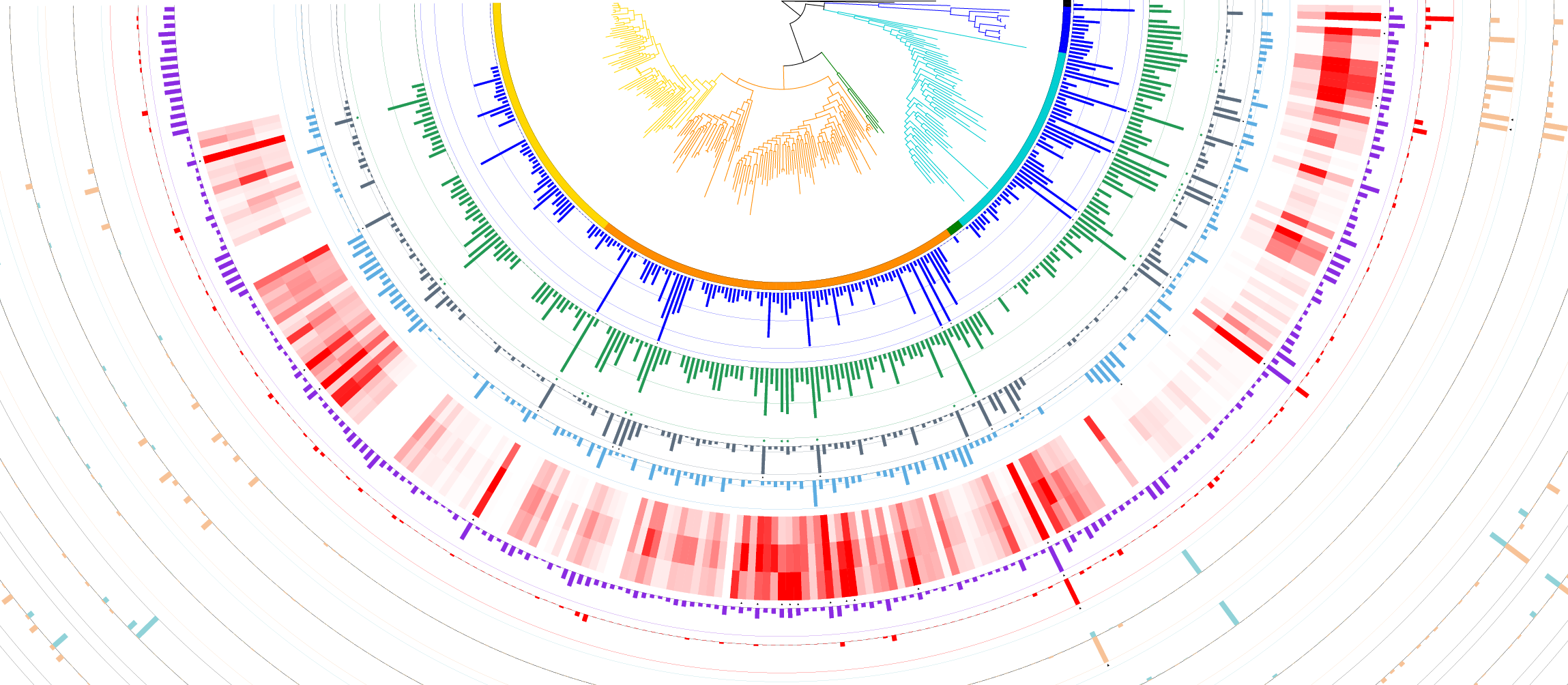 complete phylogenetic tree of life